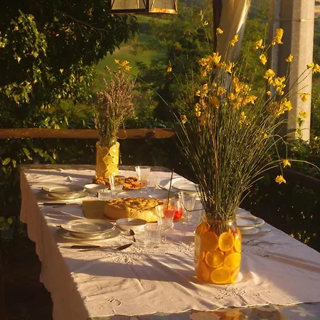 Holidays Cà Tassino Casa de Férias