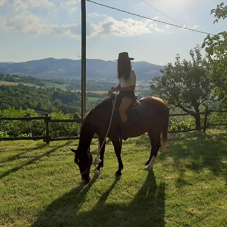 Holidays Cà Tassino Urbino